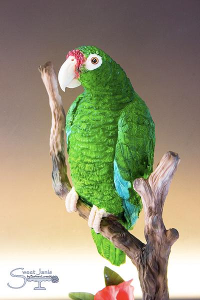 Puerto Rican Parrot - Bakers Unite to fight Collaboration - Cake by Sweet Janis