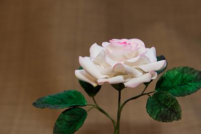 Gumpaste Rose - Cake by Suzanne Jackman