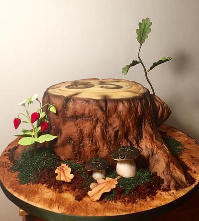 Stump - Cake by Andrea