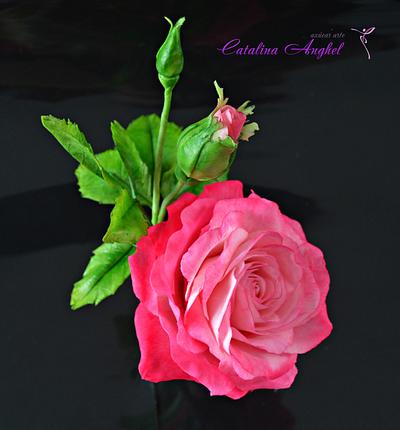 Freeformed Pink sugar Rose- Garden Beauty - Cake by Catalina Anghel azúcar'arte
