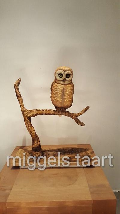 owl on a frame - Cake by henriet miggelenbrink
