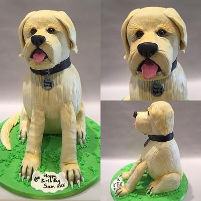 18" high Labrador cake - Cake by Kelly kusel