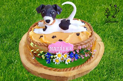 jack russel terier - Cake by L