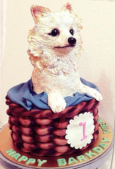 Pomeranian cake - Cake by Dsweetcakery