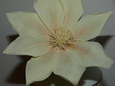 ivory clematis cold porcelain flowers - Cake by kimberly Mason-craig