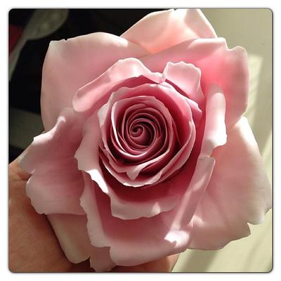 Antique Pink Icing rose - Cake by Lisa Templeton