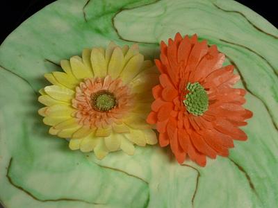 Wafer paper daisies - Cake by Patricia M