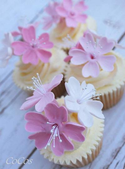 cherry blossom cupcakes  - Cake by Lynette Brandl