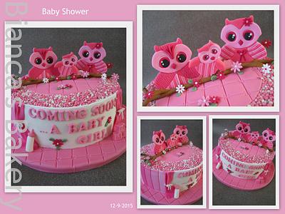 Baby shower cake - Cake by Bianca's Bakery