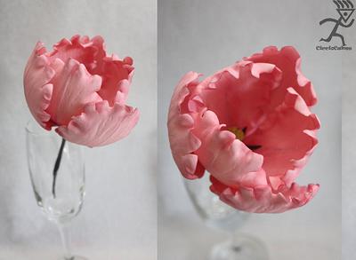 Pink Parrot Tulip with Tutorial - Cake by Ciccio 