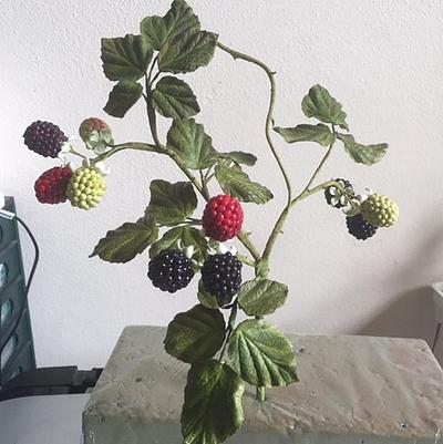 Gumpaste blackberries - Cake by Karen Blunden
