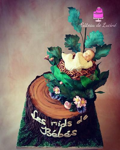 Sugar Baby Nest - Cake by Gâteau de Luciné
