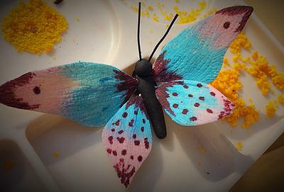 Sugar butterfly - Cake by Susanna Sequeira