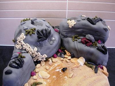 Rockpool Cake - Cake by Bonnie151
