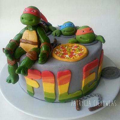 Ninja Turtles - Cake by Hokus Pokus Cakes- Patrycja Cichowlas