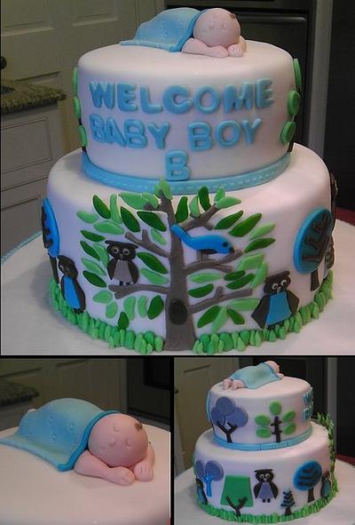 Owl Sky Theme Baby Shower - Cake by BellaCakes & Confections
