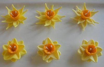 Daffodil using 2 kinds of cutters - Cake by Cakes and Beyond by Naheed