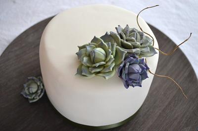 Rustic Succulents - Cake by ilovebc2