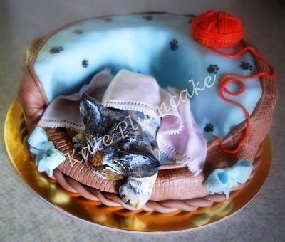Kitten in the basket - Cake by Kate Plumcake