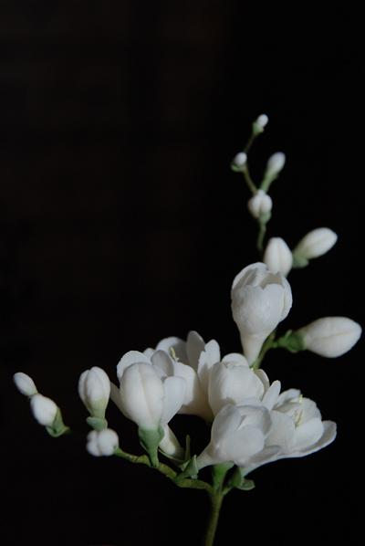 Little white flowers - Cake by Mila