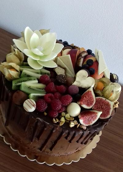 Fruit and chocolate - Cake by Ellyys