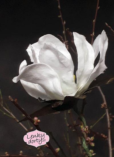Magnolia flower - sugar paper - Cake by Lenkydorty