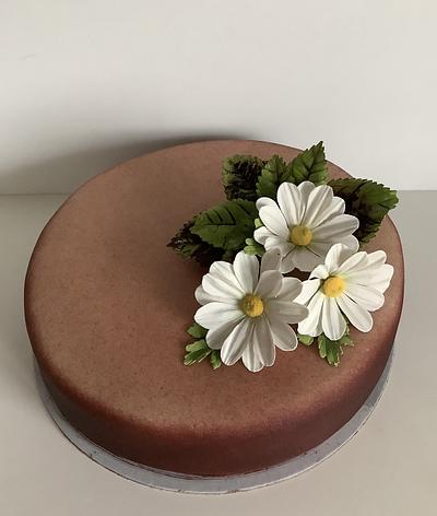 Brown cake - Cake by Anka