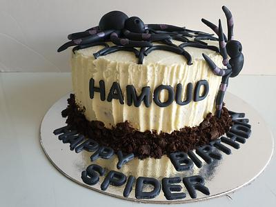 Spider cake - Cake by jscakecreations