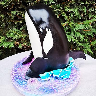 ORCA CAKE  - Cake by Nohadpatisse 