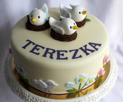 Spring for  little Tereza - Cake by Kateřina Lončáková