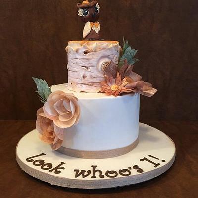 Look whoo's 1! - Cake by Sweet Owl Custom Cakes