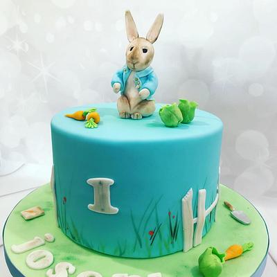 Peter Rabbit - Cake by bakemydayiom