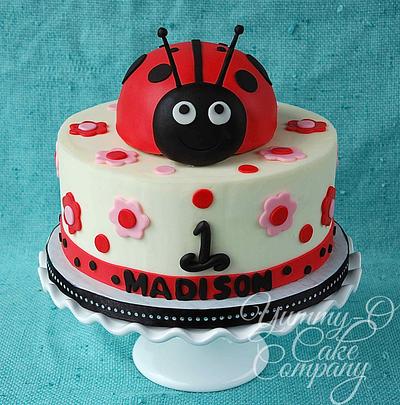 Lady Bug Cake - Cake by Donna (YUMMY-O Cake Company)