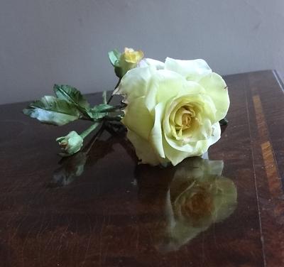 A Yellow Rose - Cake by Fifi's Cakes