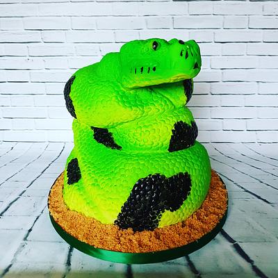 Ssssnake  - Cake by Jennifer-You cake