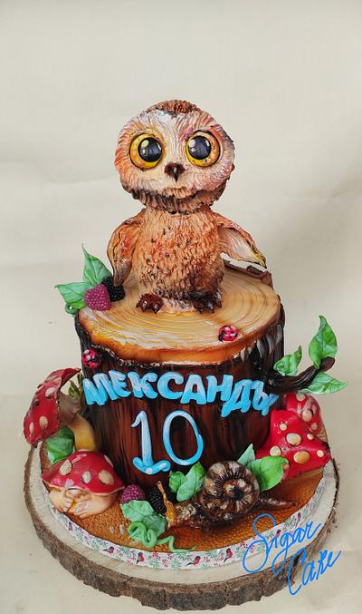 Owl cake - Cake by Tanya Shengarova