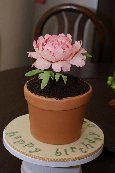 Flower Pot Birthday Cake - Cake by Mini's Sugarcraft