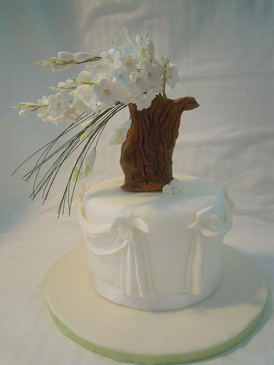 wind - Cake by Caterina Fabrizi