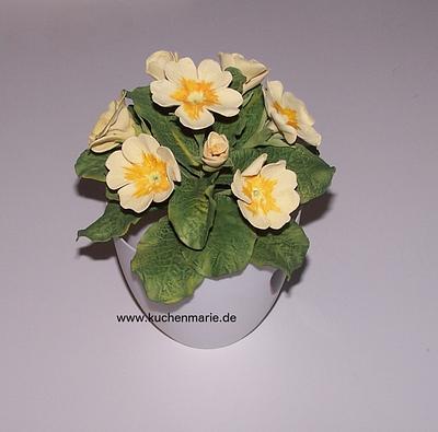 Gumpaste Primula Flower - Cake by Kuchenmarie - Sandra Schuerkmann