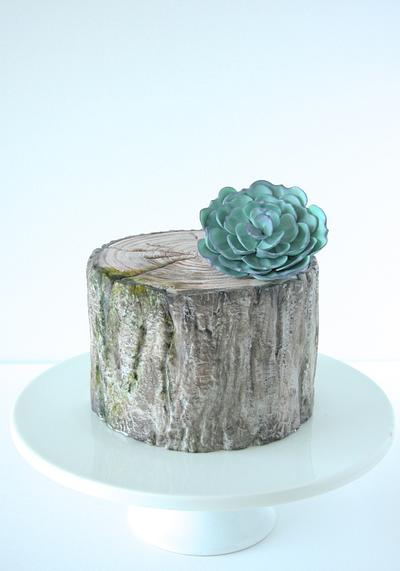 Tree Bark Cake - Cake by Cookie Hound!