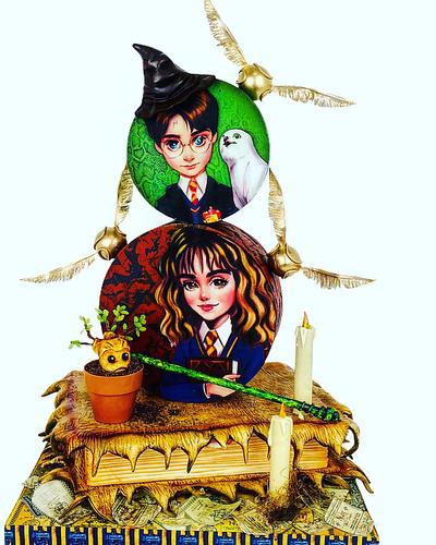 Tirer cake Harry Potter  - Cake by Cindy Sauvage 