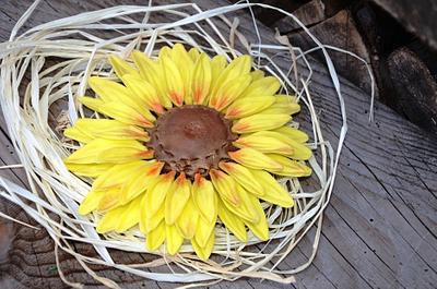 Sunflower  - Cake by Torty Alexandra