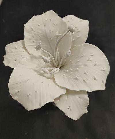 White Casablanca Lily - Cake by Ruth - Gatoandcake