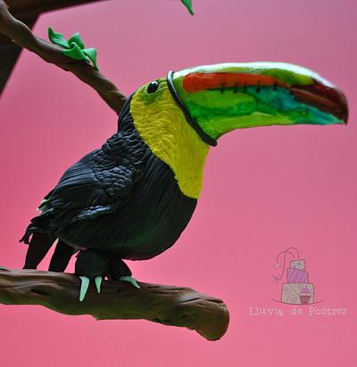 Tucan "Animals Rights Collaboration" - Cake by Lluviadepostres