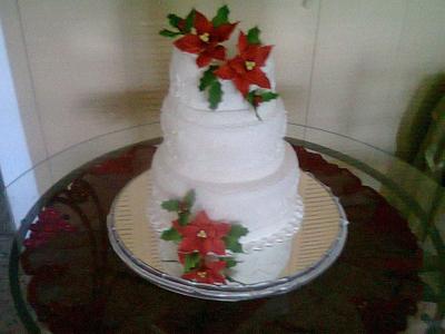 Christmas Cake - Cake by robier