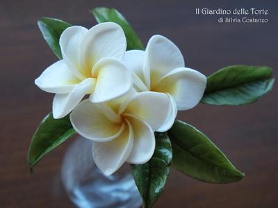 Plumeria Flowers - Cake by Silvia Costanzo