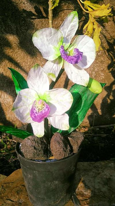 Wafer Paper Cattaleya Orchid  - Cake by Daniel Guiriba