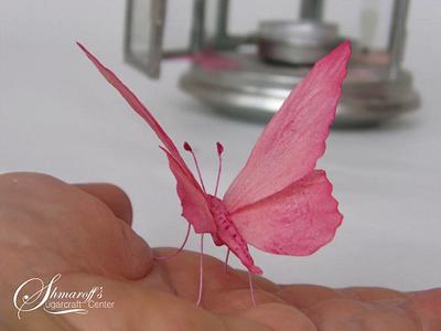 Wafer paper Butterfly  - Cake by Petya Shmarova