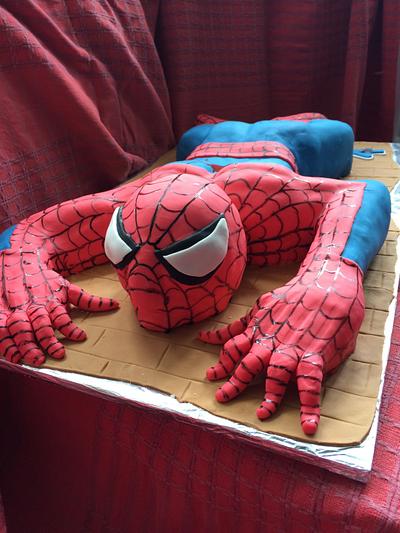 Spiderman - Cake by Philippa
