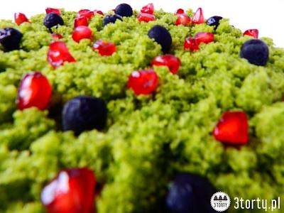 Edible moss - Cake by 3torty